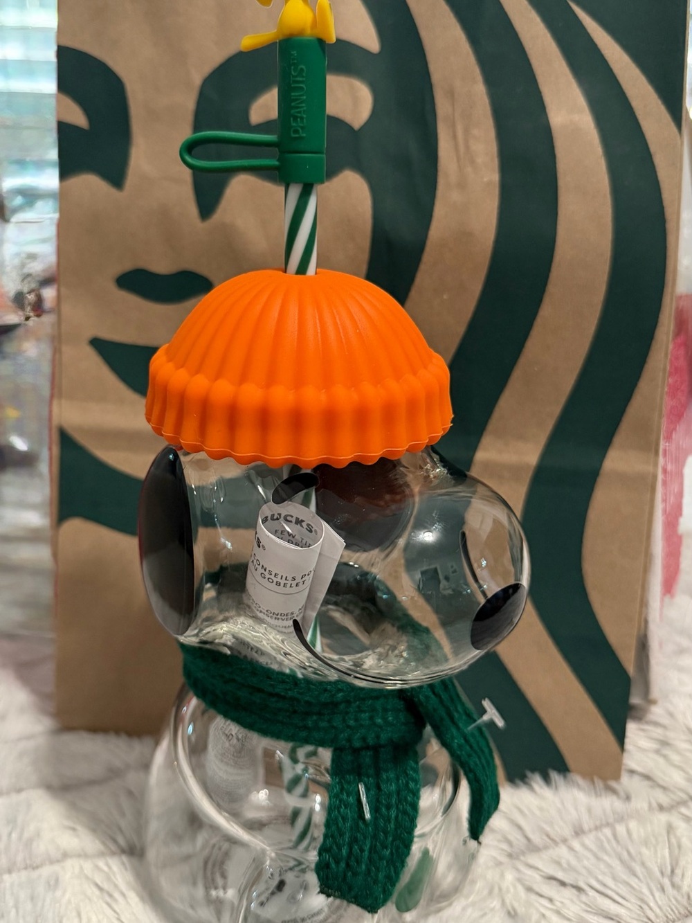Starbucks X Peanuts Snoopy Glass Cup with Green Scarf